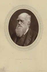 Portret van Charles Darwin